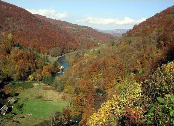 Holiday Home Vesna Brod na Kupi Экстерьер фото
